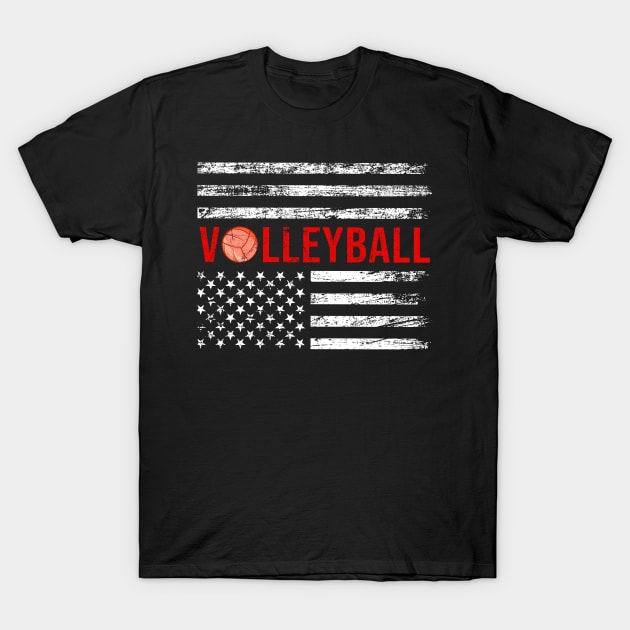 Vintage Volleyball America Flag T-Shirt by NatalitaJK